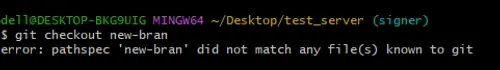 git checkout developer