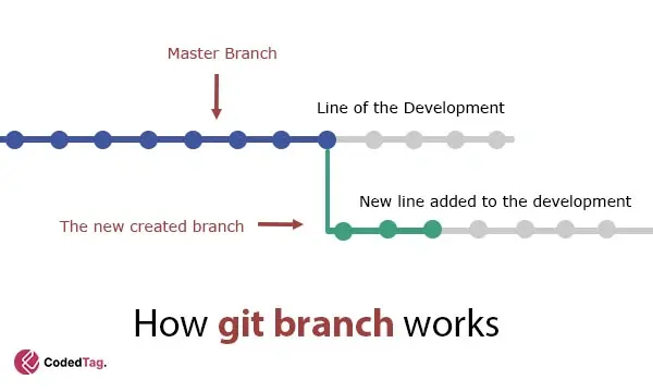 how git branch work